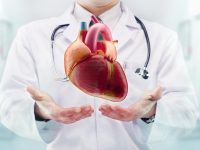 Comment réagit le coeur durant l’effort ?