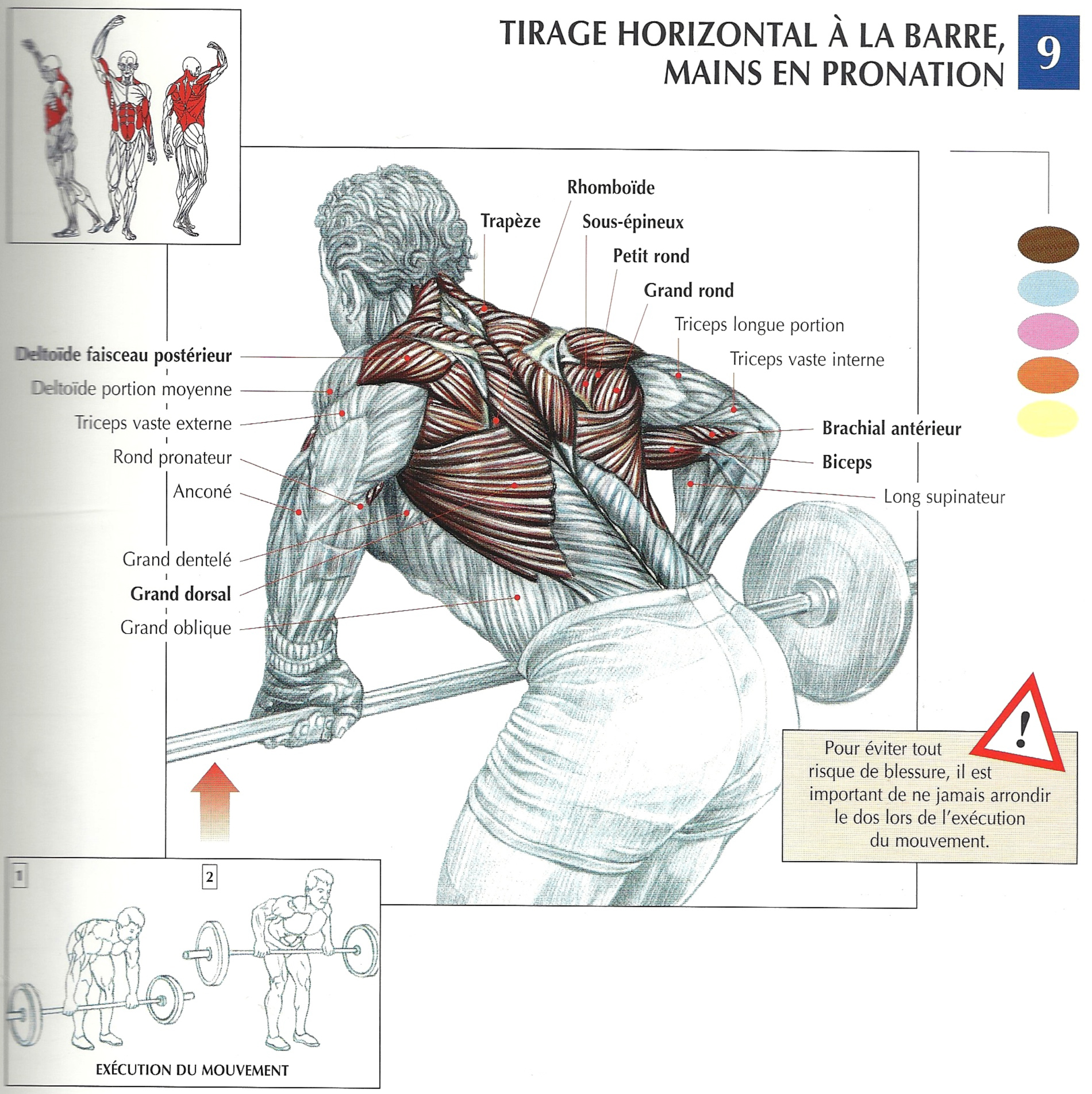 Programme de musculation pour homme débutant : dos, lombaires, biceps –  Interval