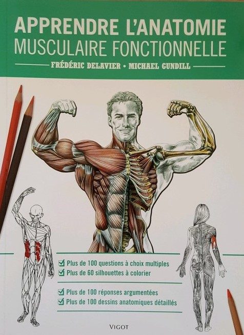 Apprendre l’anatomie musculaire fonctionnelle